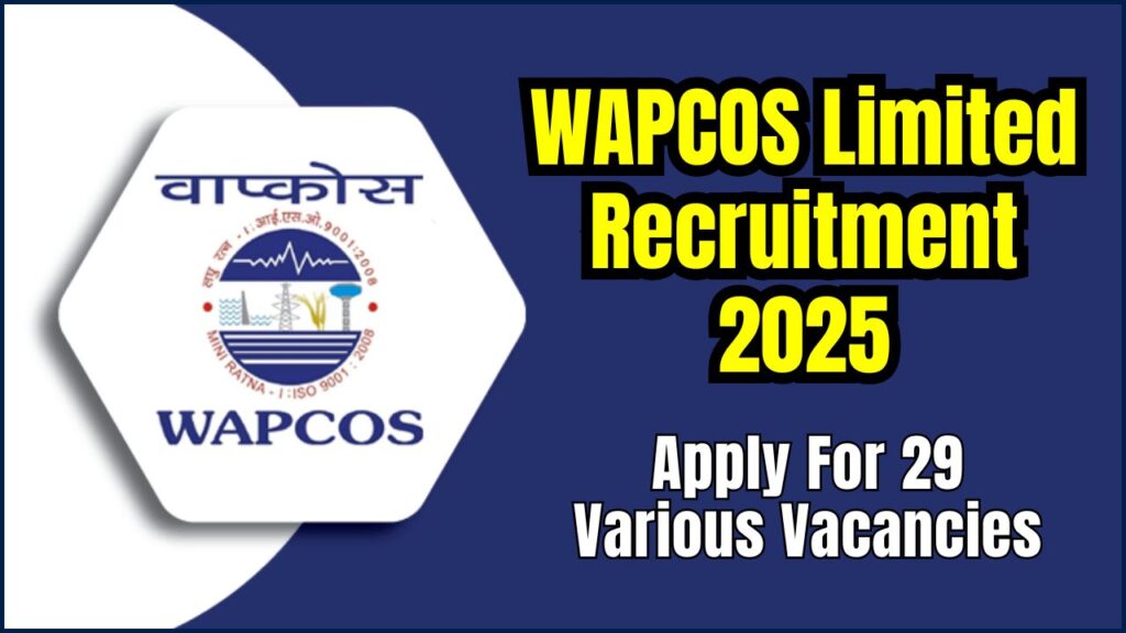 WAPCOS Limited Recruitment 2025 - Apply For 29 Various Vacancies, Application 1 WAPCOS Limited Recruitment 2025