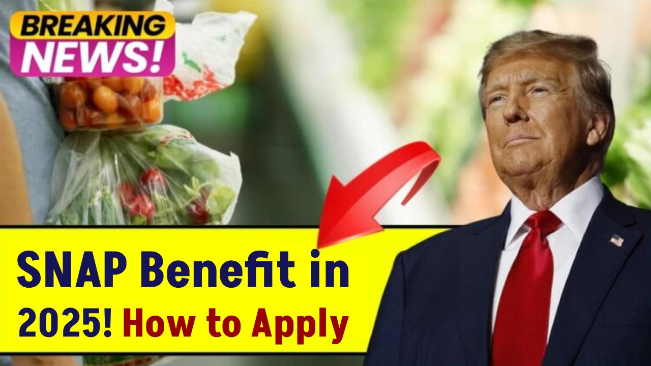 Claim Your $3,487 SNAP Benefit in 2025 – How to Apply, Who’s Eligible, and What You Need to Know
