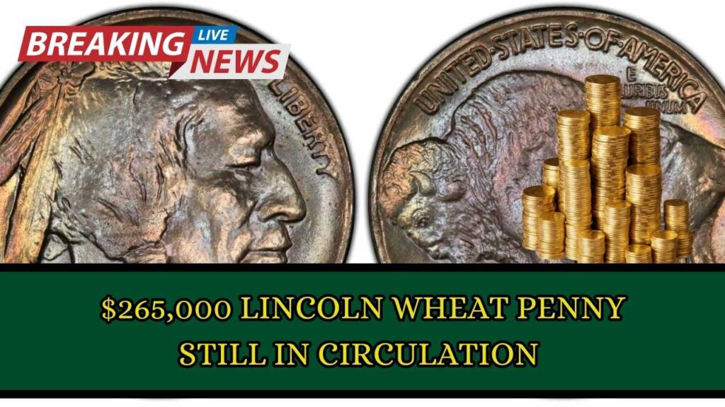 $265,000 Lincoln Wheat Penny Still in Circulation – Could You Have One? 1 $265,000 Lincoln Wheat Penny Still in Circulation – Could You Have One?
