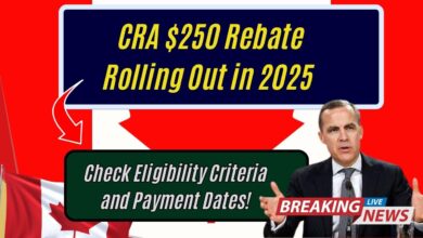 CRA $250 Rebate Rolling Out in 2025 – Check Eligibility Criteria and Payment Dates!