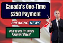 Canada's One-Time $250 Payment: How to Get it? Check Payment Dates!