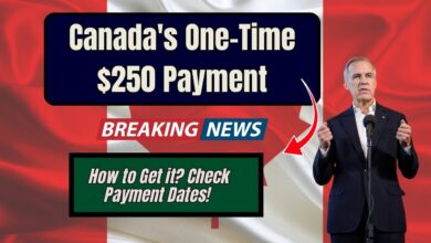 Canada's One-Time $250 Payment: How to Get it? Check Payment Dates!