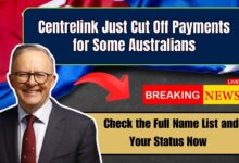 Centrelink Just Cut Off Payments for Some Australians – Check the Full Name List and Your Status Now