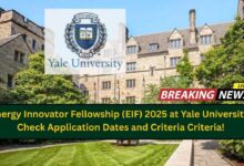 Energy Innovator Fellowship (EIF) 2025 at Yale University: Check Application Dates and Criteria Criteria!