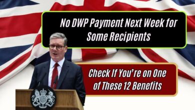 No DWP Payment Next Week for Some Recipients: Check If You’re on One of These 12 Benefits!