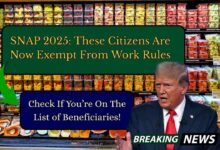 SNAP 2025: These Citizens Are Now Exempt From Work Rules — Check If You’re On The List of Beneficiaries!