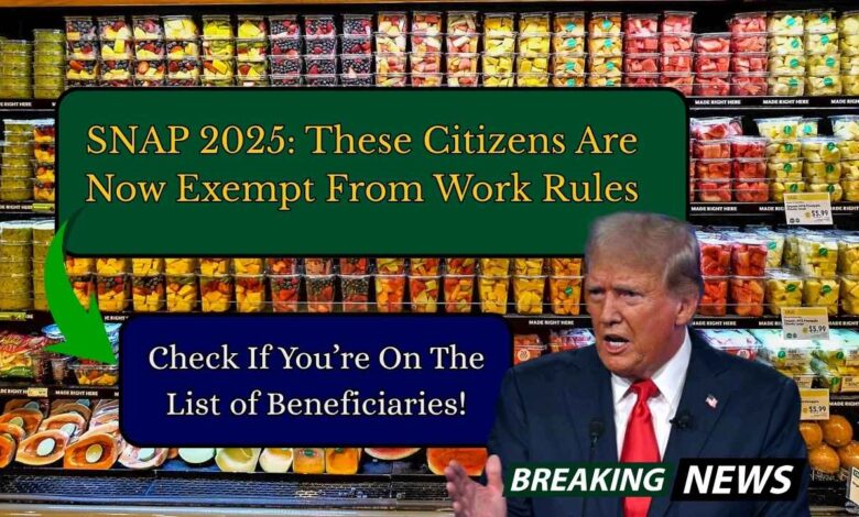 SNAP 2025: These Citizens Are Now Exempt From Work Rules — Check If You’re On The List of Beneficiaries!