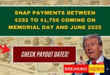 SNAP Payments Between $292 to $1,756 Coming on Memorial Day and June 2025 — Check Payout Dates!