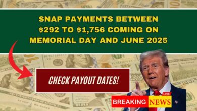 SNAP Payments Between $292 to $1,756 Coming on Memorial Day and June 2025 — Check Payout Dates!