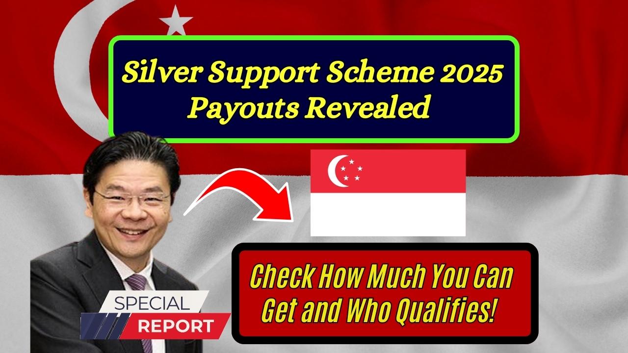 Silver Support Scheme 2025 Payouts Revealed – Check How Much You Can Get and Who Qualifies!