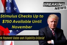 Stimulus Checks Up to $750 Available Until November: Check Payment Dates and Eligibility Criteria!