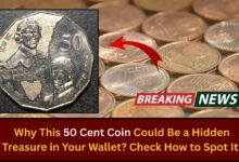 Why This 50 Cent Coin Could Be a Hidden Treasure in Your Wallet? Check How to Spot It!